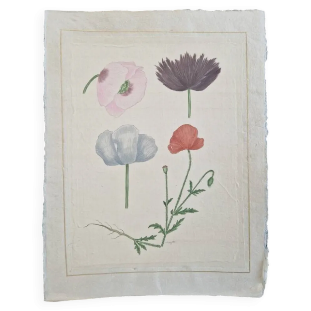 Dessin à l'aquarelle sur soie - Pavots - La Roche Laffitte (Né en 1943)