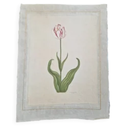 Dessin à l'aquarelle sur soie - Tulipe - La Roche Laffitte (Né en 1943)