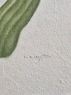Dessin à l'aquarelle sur soie - Tulipe - La Roche Laffitte (Né en 1943)