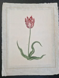 Dessin à l'aquarelle sur soie - Tulipe - La Roche Laffitte (Né en 1943)