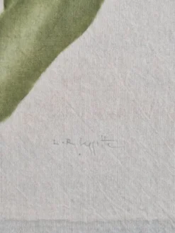 Dessin à l'aquarelle sur soie - Tulipe - La Roche Laffitte (Né en 1943)