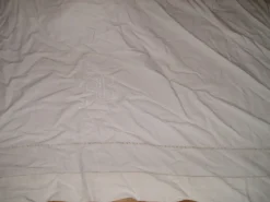 Drap ancien en lin ou métis à 2 rangées chiffré SC