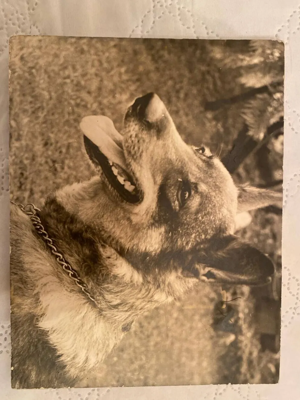 Duo de Photographies Vintage (Années 70/80) sur Panneaux – Chalutier "
