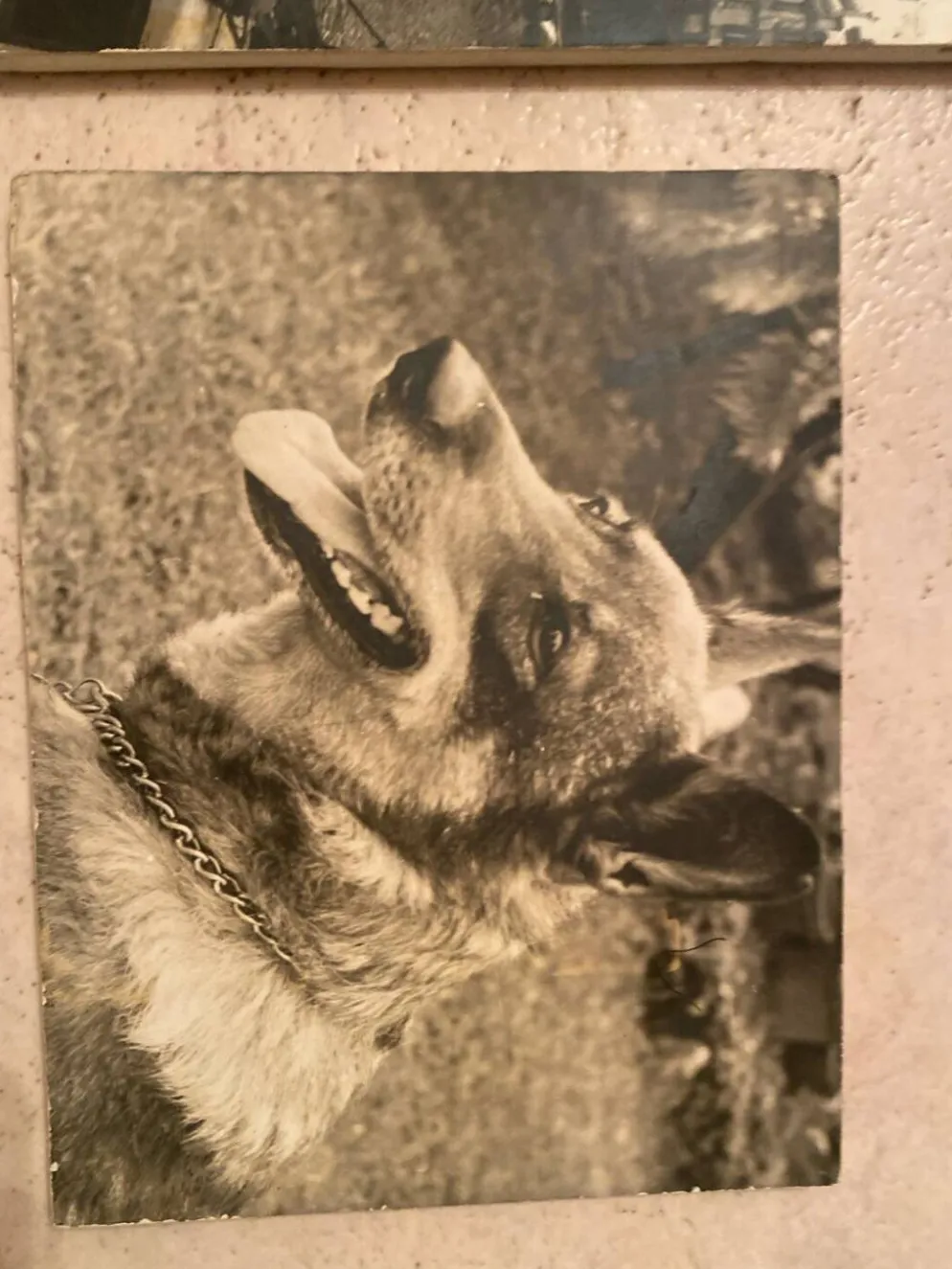 Duo de Photographies Vintage (Années 70/80) sur Panneaux – Chalutier "