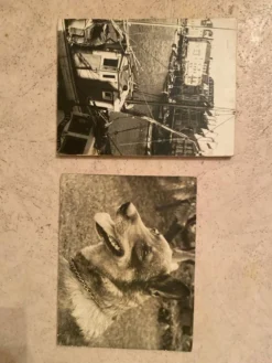 Duo de Photographies Vintage (Années 70/80) sur Panneaux – Chalutier
