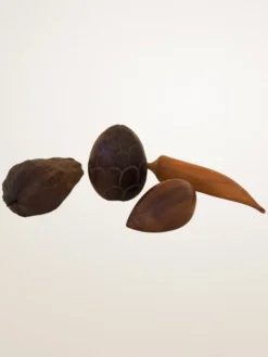 Ensemble de fruits décoratifs en bois sculpté