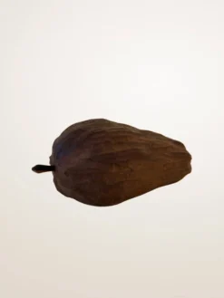 Ensemble de fruits décoratifs en bois sculpté