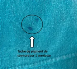 Ensemble de 10 serviettes damassées monogrammées BL turquoise