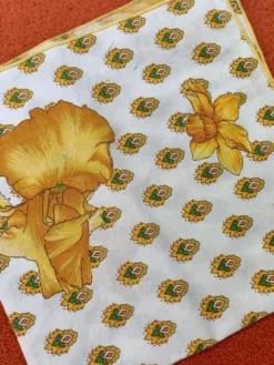 Ensemble de 2 Serviettes de table rétro