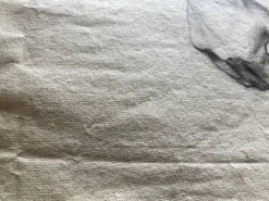 Etude antomique néo classique d’atelier fin 19e, Paris Montparnasse