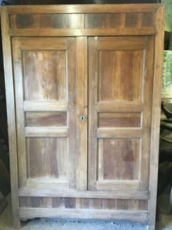 Facade d'armoire ancienne double porte en noyer