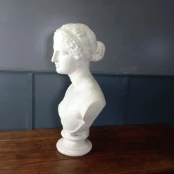 Grand buste de Vénus de Milo