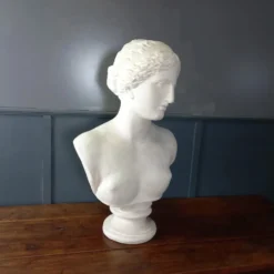 Grand buste de Vénus de Milo