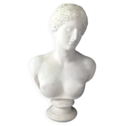 Grand buste de Vénus de Milo