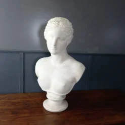 Grand buste de Vénus de Milo