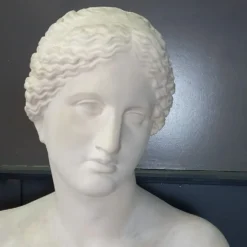 Grand buste de Vénus de Milo