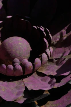 Grande décoration murale sculpturale de fleurs en métal, Belgique, milieu du 20e siècle, années 1960