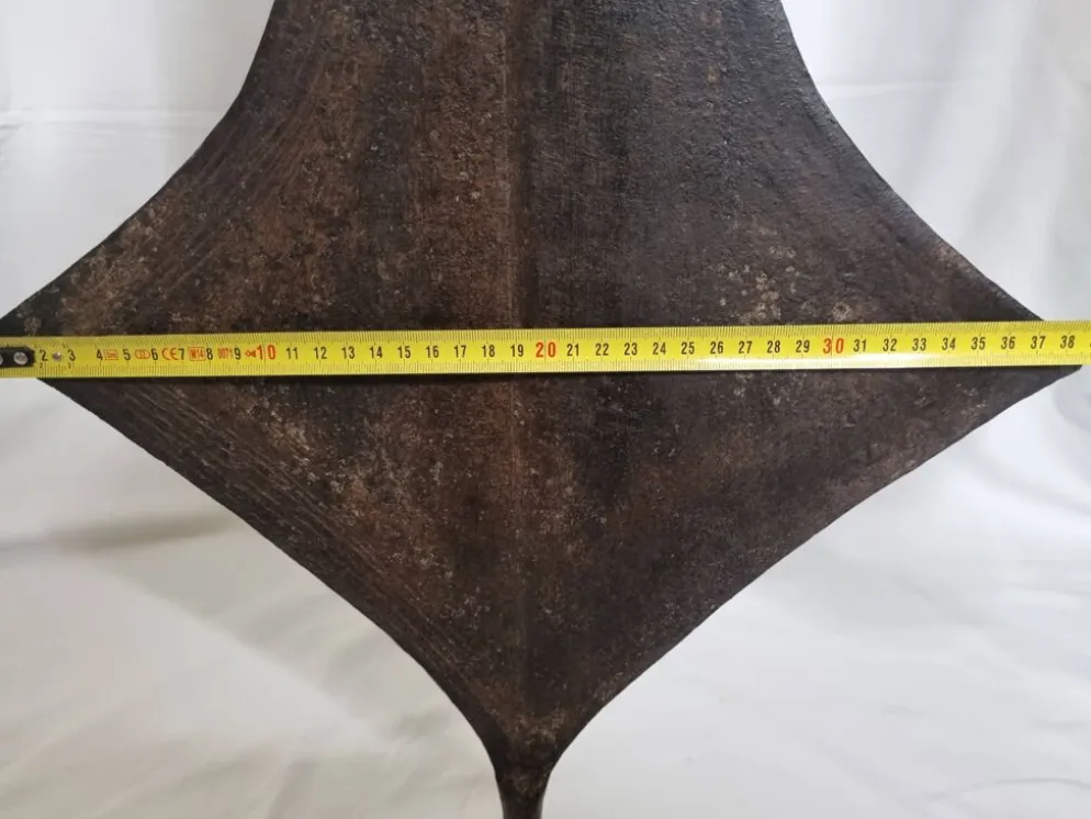 Grande monnaie Topoké dite Liganda fer forgé, sculpturale, fin XIXe, 160 cm