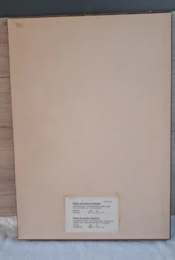 Gravure botanique encadrée — Rose Montezuma par Lotte Günthart, 1976