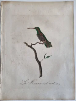 Gravures ornithologiques Audebert & Vieillot 1802 encadrées 50x40 cm