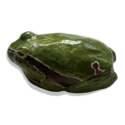 Grenouille en faïence émaillée