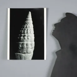 Groupe de huit photographies de Nicoletta Giordano en noir et blanc, Italie