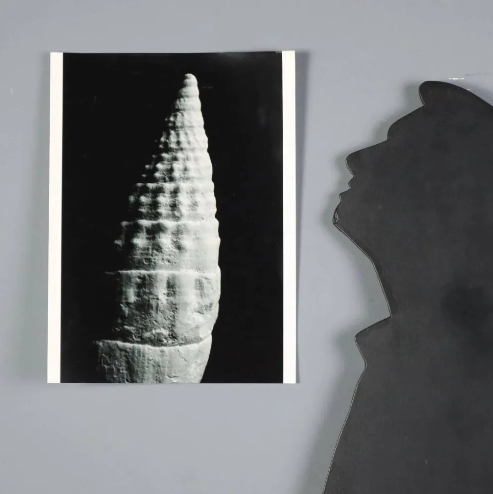 Groupe de huit photographies de Nicoletta Giordano en noir et blanc, Italie