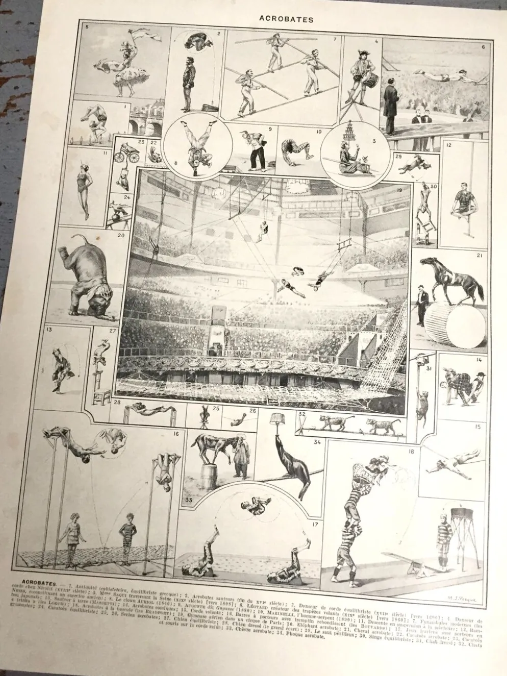 Illustration ancienne JM Vesque "Acrobates"