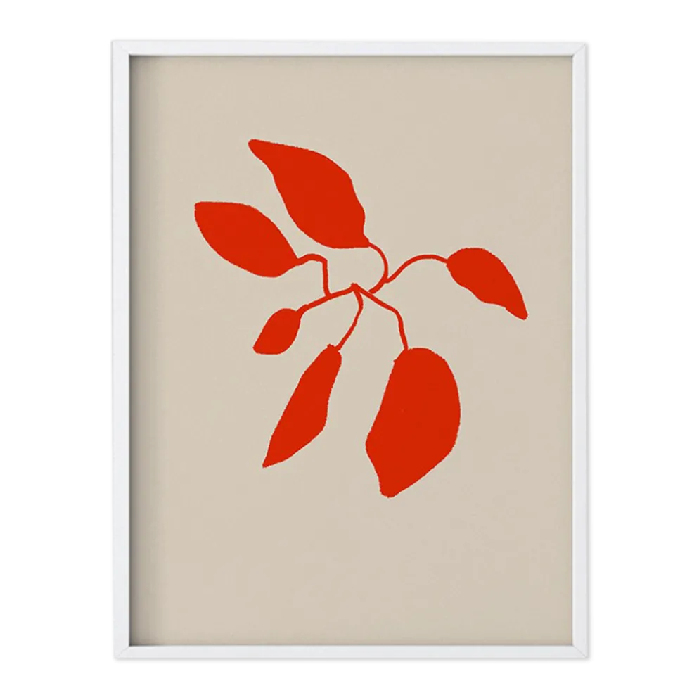 Illustration botanique giclée