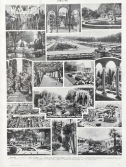 Illustration Millot "Jardins arbres d'ornement"