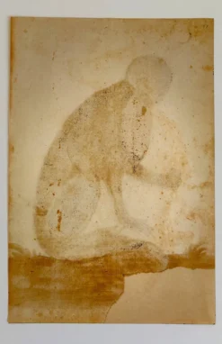 Impressions de l'histoire naturelle de la Renaissance, paire de fac-similés du Codex Pomar, années 1990.