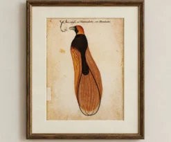 Impressions de l'histoire naturelle de la Renaissance, paire de fac-similés du Codex Pomar, années 1990.