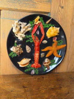 Insolite assiette murale vintage fruits de mer cabinet de curiosités