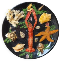 Insolite assiette murale vintage fruits de mer cabinet de curiosités