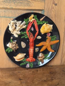 Insolite assiette murale vintage fruits de mer cabinet de curiosités