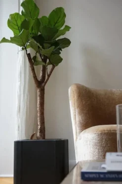 Jardinière en cuir style années 50 de De Sede