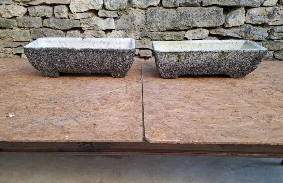 Jardinières en ciment