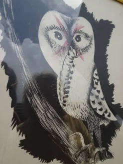 Jean Lurçat Lithographie Chouette de Bonne espérance