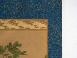 Kakejiku ancien japonais de rapace en couleur sur papier – Japon, vers 1900