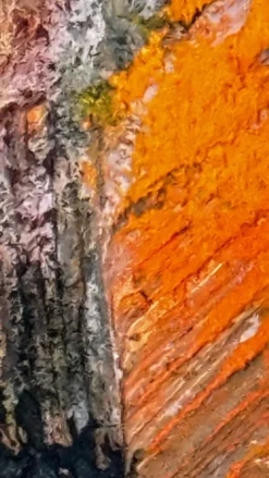 La coupe de fruits. Grande huile sur panneau 130 x 90cm .Ange Tomaselli