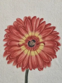 La Roche Laffitte (Né en 1943) - Dessin à l'aquarelle sur soie - Souci