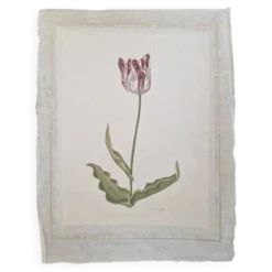 La Roche Laffitte (Né en 1943) - Dessin à l'aquarelle sur soie - Tulipe