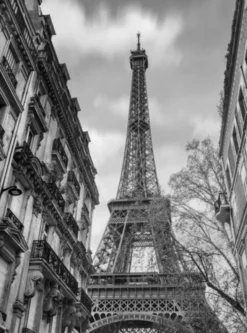 La Tour Eiffel