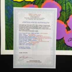 Lithographie Édition Limitée 
