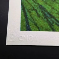 Lithographie Édition Limitée 