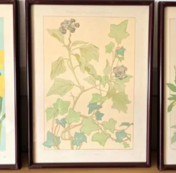 4 lithographies florales 1900