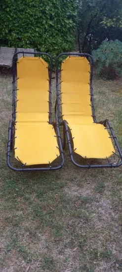 Lot de 2 chaises longues