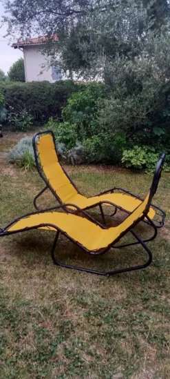 Lot de 2 chaises longues