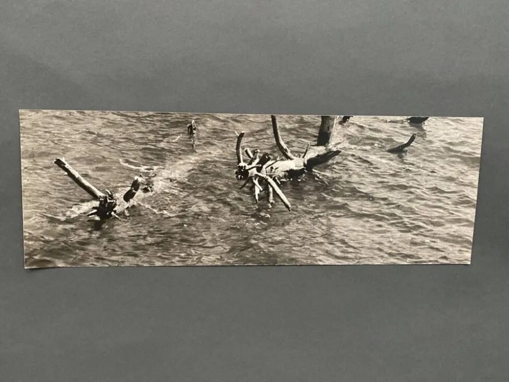 Lot de 3 photos anciennes Bernard Darot Lac Ile Sapins XXe