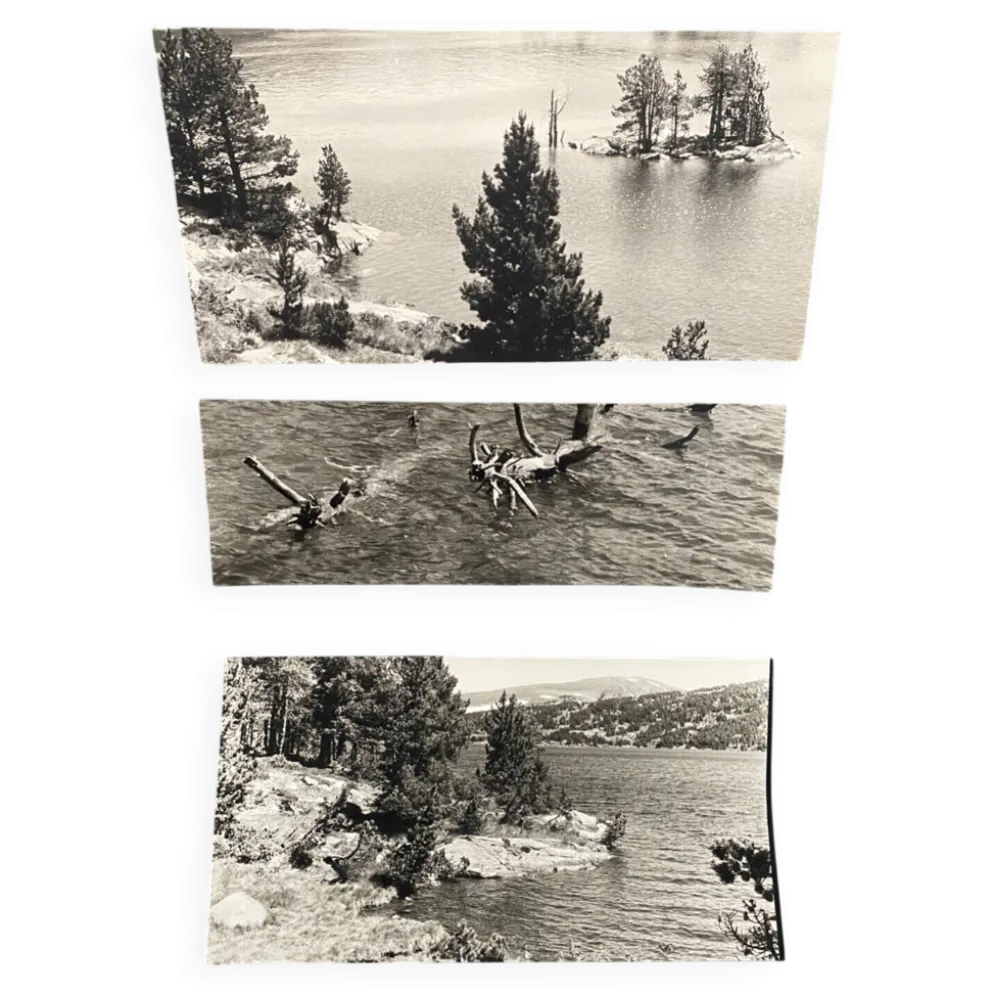 Lot de 3 photos anciennes Bernard Darot Lac Ile Sapins XXe